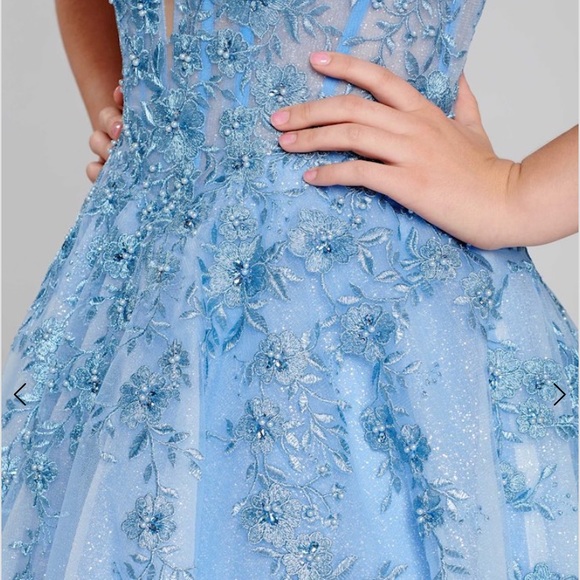 Ellie Wilde embroidered fit and flare sleeveless long Gown - Picture 2 of 11